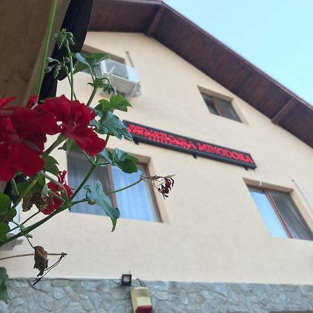 Pensiunea Minodora Polovragi Kültér fotó